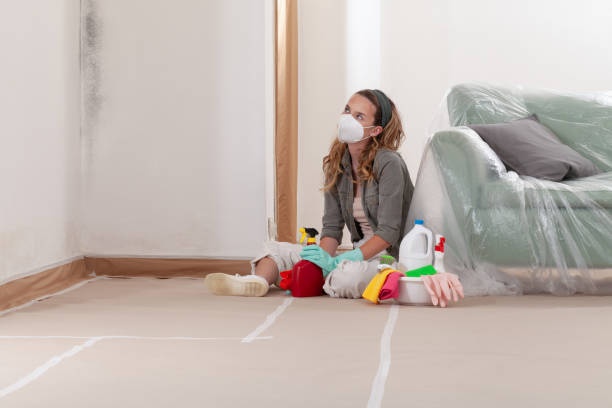 Reliable Commercial Mold Remediation contractor in Edgewood, PA by WQB Mold Removal